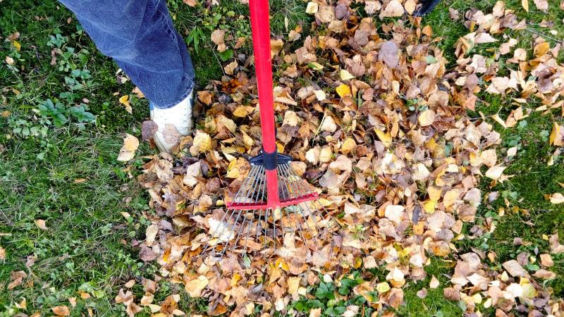Nettoyage et débroussaillage d'espaces verts sur Saint-Rémy 13
